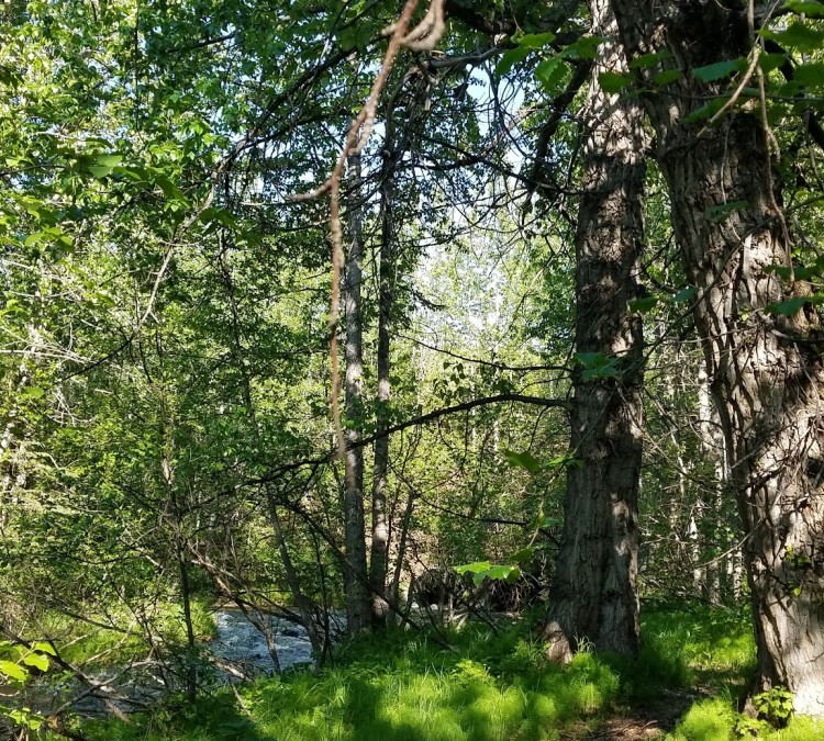 Old Rabbit Creek Park (Anchorage,&nbspAK)